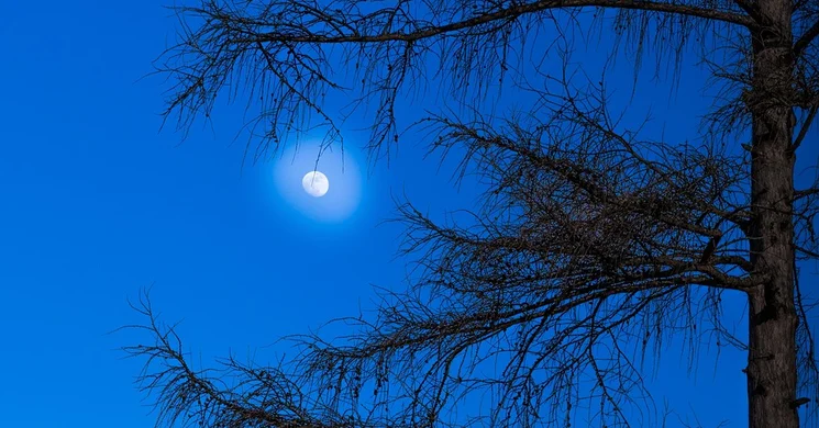 Szilveszteri túra 2024