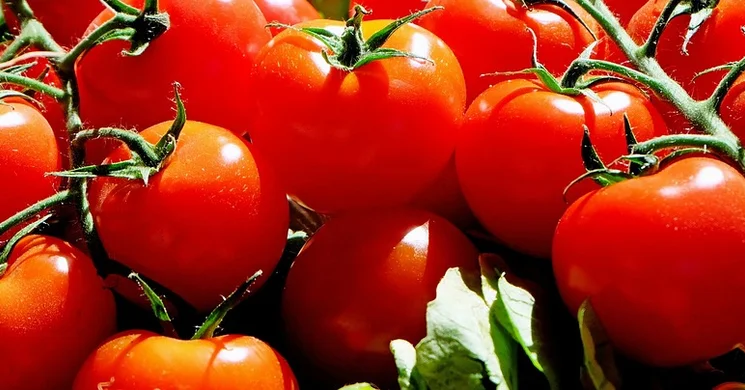 Vászolyi Termelői Piac 2025