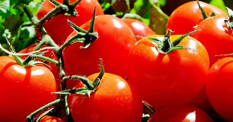 Piac Sukoró 2026 - Zöld Pont Termelői piac