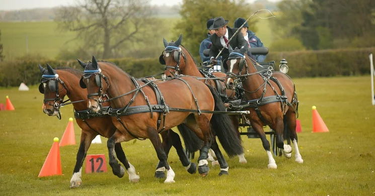 Fogathajtó verseny Cserkeszőlő 2026