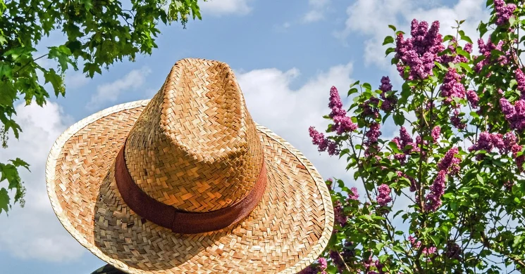 Hagyományőrző Szállás Napok 2025 Előszállás