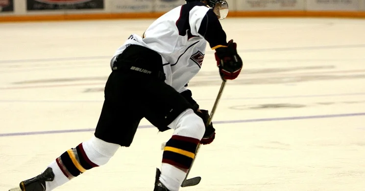 Dunaújvárosi Jégcsarnok