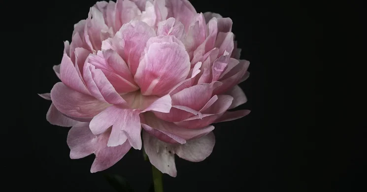 Pünkösdi program Cserépfalu