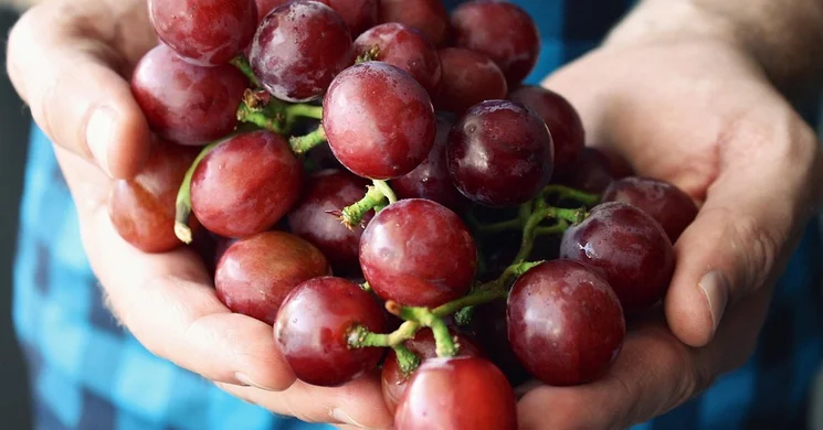 Sárvári Szüret 2025