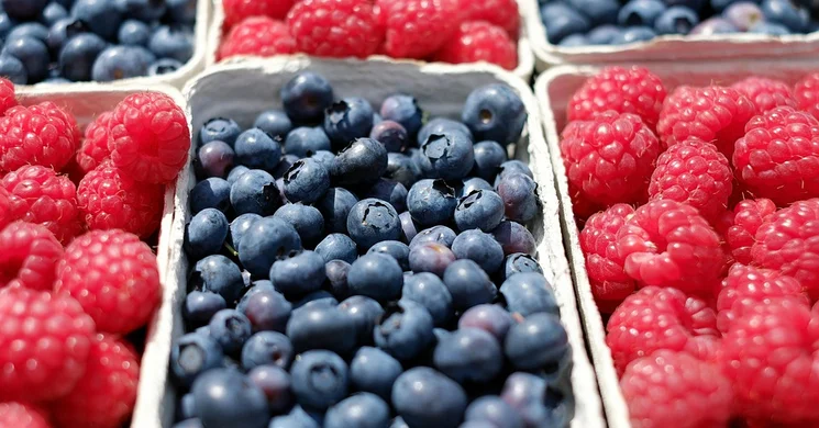 Óvári Őstermelői Piac 2026 Mosonmagyaróvár