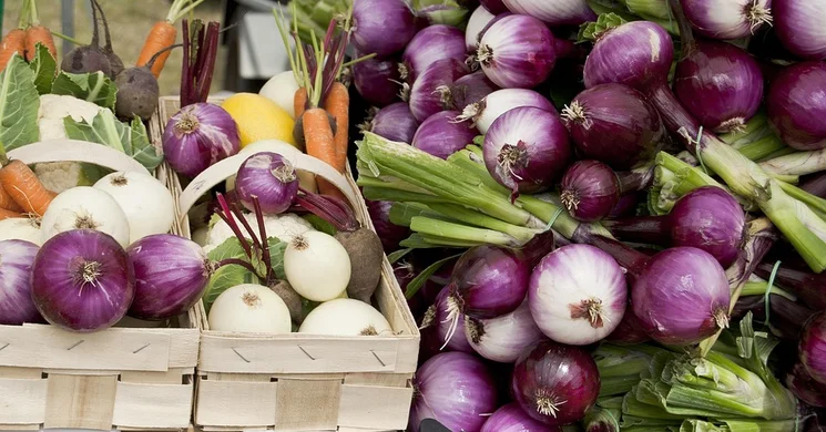 Nagygyimót Termelői Piac 2025