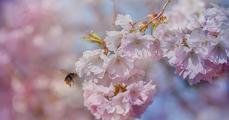 Oltónap Csonkahegyhát