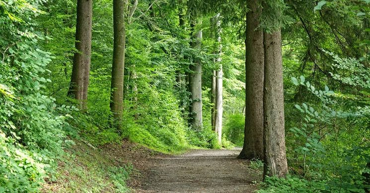 Vár-kő tanösvény Győrújbarát