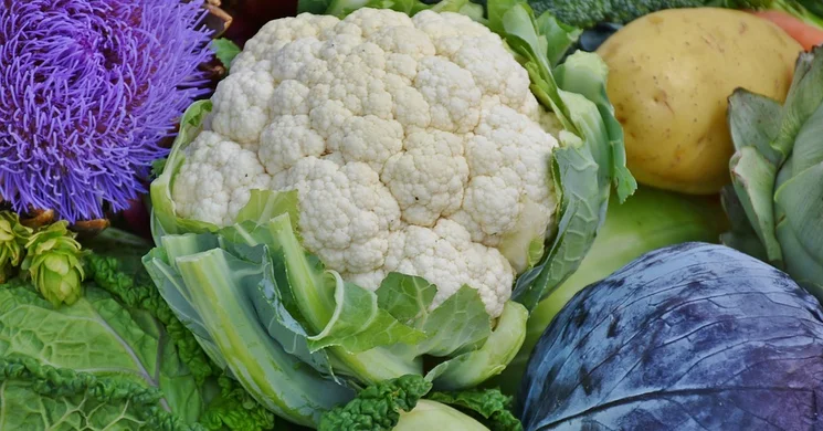 Piac Hajdúnánás 2025