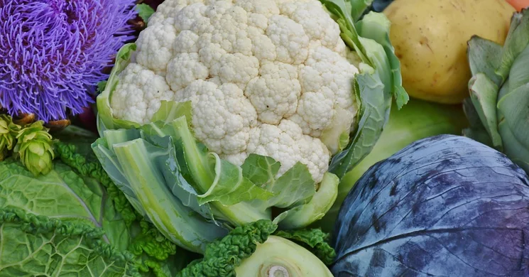 Kispesti Piac Budapest