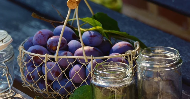 Németvárosi szilvalekvárfőzés Gyula