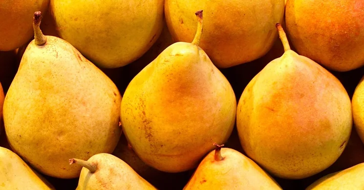 Tiszanána Piac 2025