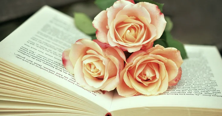 Ünnepi Könyvhét Kecskemét