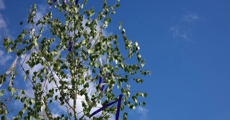 Szikszó Majális 2025