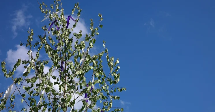 Majális Tiszakécske 2025. Városi majális