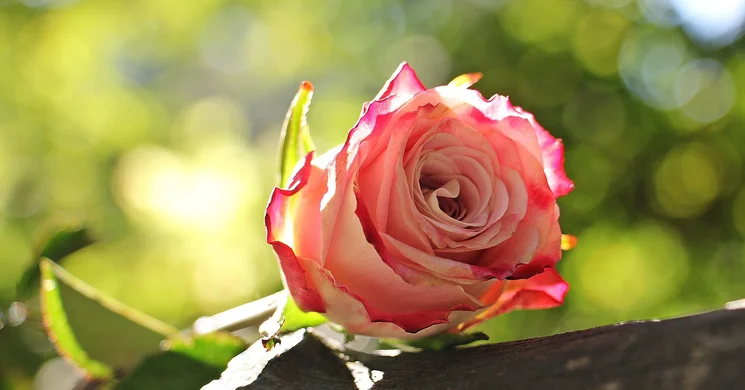 Városi Nőnap Százhalombatta 2026