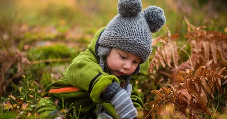 Bababörze programok 2026. Események, rendezvények