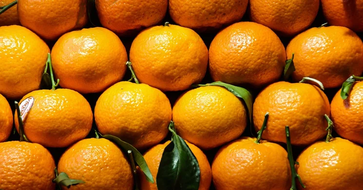 Termelői Piac Kazincbarcika 2026 – Barcikai kézműves és termelői vásár