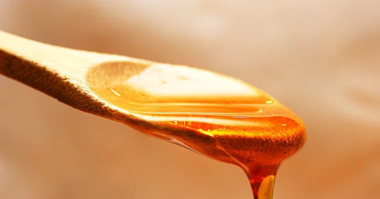 Gyulai Mézfesztivál szállással a Wellness Hotel Gyula szállodában