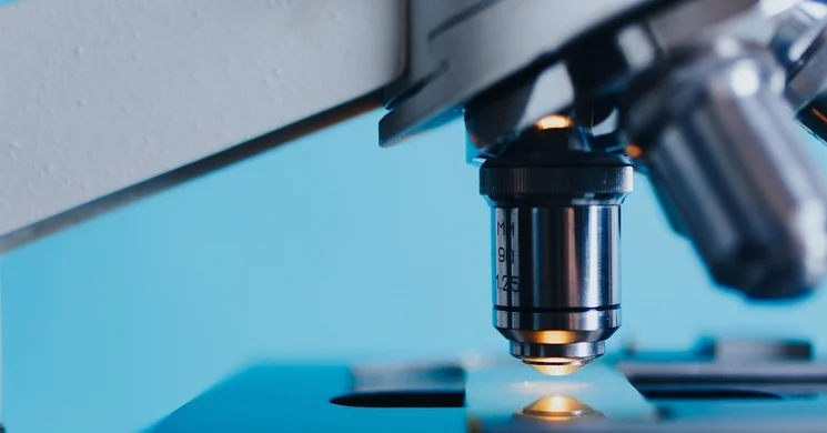 November 3. A magyar tudomány napja