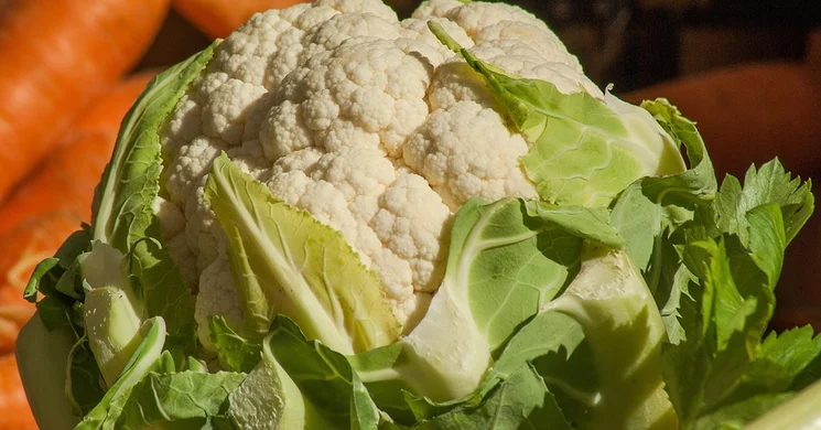 Biharkeresztesi piac 2026