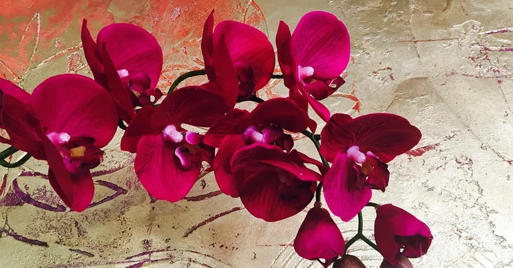 Nőnap Rácalmás 2025