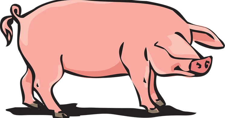 Disznóvágás Isaszeg 2025