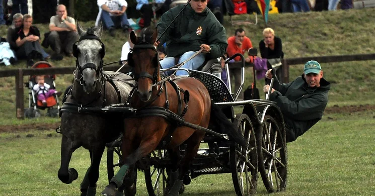 Fogathajtó versenyek 2026. Fedett és szabadtéri programok, események