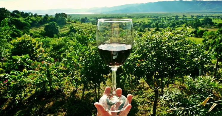 Nyitott Pince Napok 2025. Borkóstolók, pincetúrák országszerte