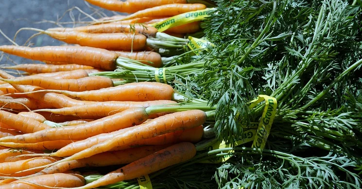 Termelői Piac Csurgó 2025