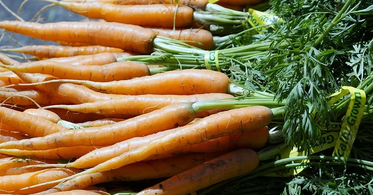 Nagykovácsi termelői piac 2025