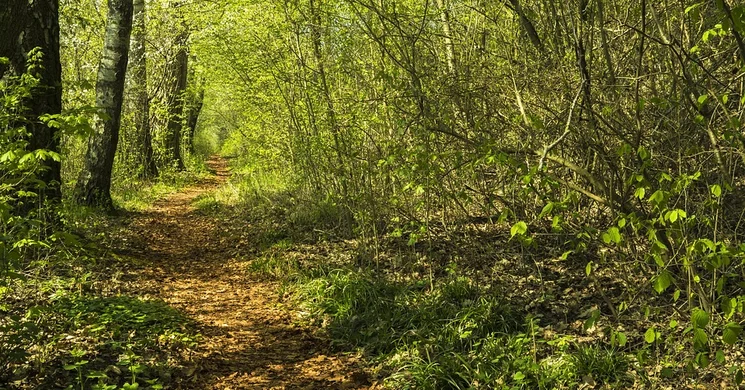 Csillaghúr tanösvény, ökotúra az Őrségi Nemzeti Park területén