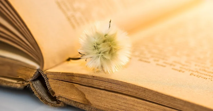 Ünnepi Könyvhét Pécs