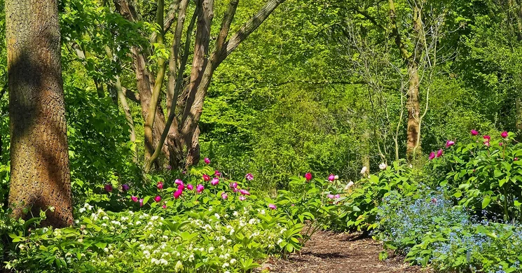 Nap Kör Vándoriskola Vigántpetend