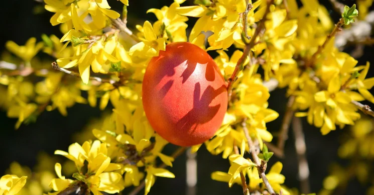 Húsvétoló Felsőgallán 2025 Tatabánya