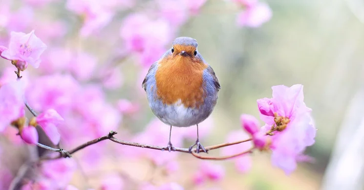 Tavaszi szünet Gyulán, teljes panziós ellátással a Wellness Hotel Gyula szállodában