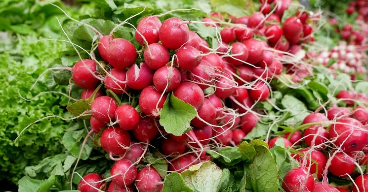 Nagykálló Városi Piac 2025