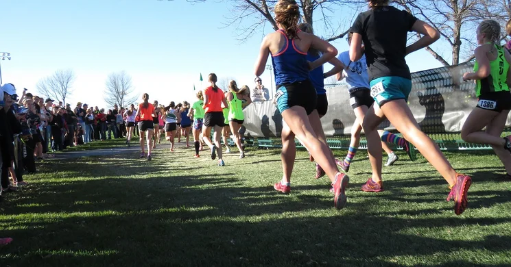 Gyulai futóverseny 2025