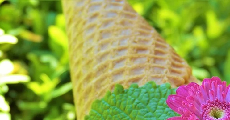 Gyermeknap Szentendre 2025. Lurkócia Városi Gyereknap