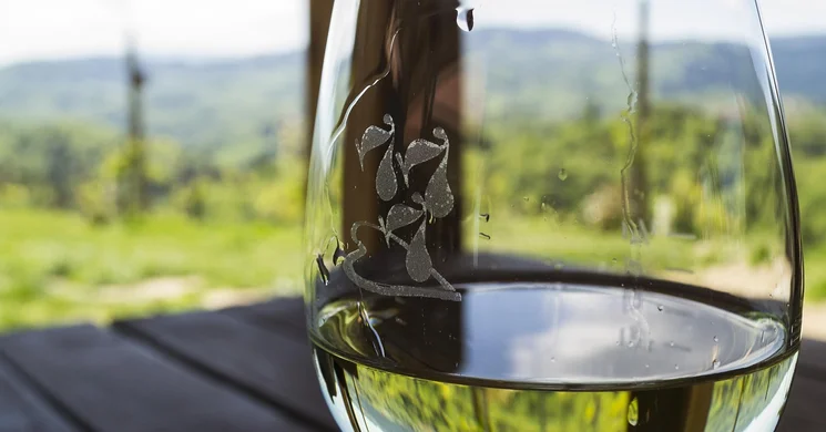 OktóBor Vásárosnamény. Beregi Szüreti Napok