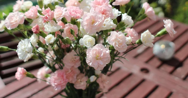 Anyák Napja Mórahalom