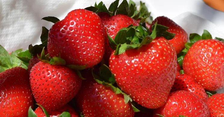 Tarnaörsi Piac 2025