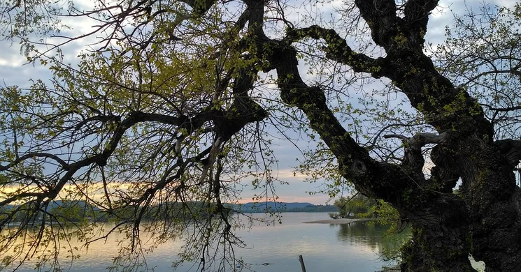 Vác és Környéke TDM Vác