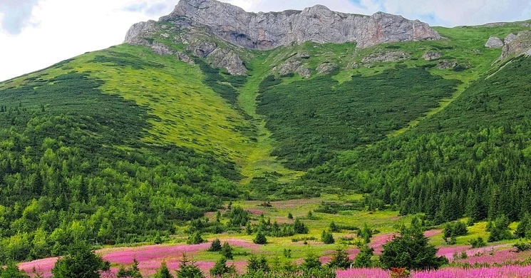 A Felvidékről kitelepítettek emléknapja