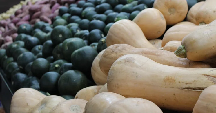 Balassagyarmat Piac 2025