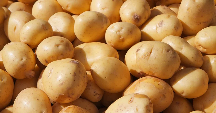 Burgonyafesztivál Bicsérd