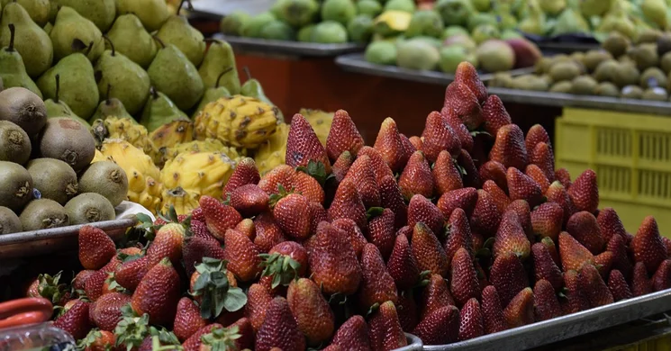 Termelői piac Celldömölk 2025