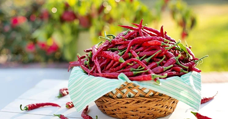 Nagymarosi Csípős Fesztivál 2026