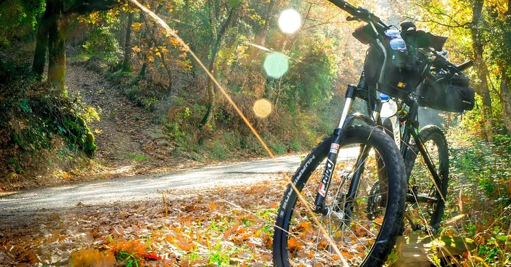 Zselic Maraton 2026 -MTB Maraton kerékpárverseny