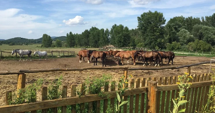 Nyugat-dunántúli programok 2025